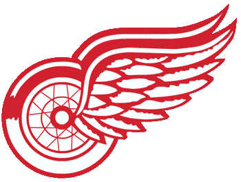 Detroit Red Wings 1973-1984 Alternate Logo iron on transfers for fabric